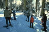 View of snow shoeing at Badger Pass