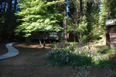 View of back yard