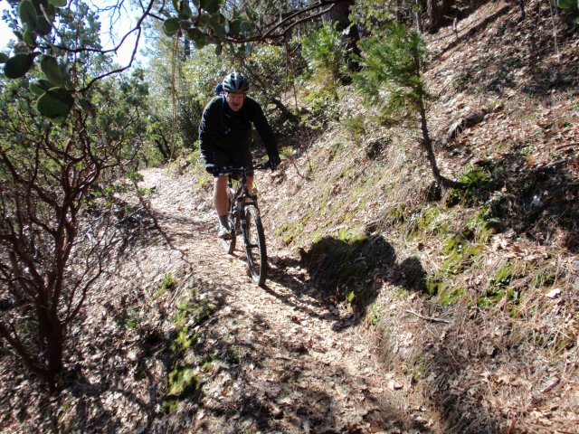 View of mountain biker on a trail