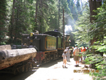 View of The Logger steam train
