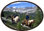 Link to Yosemite Trails web site
