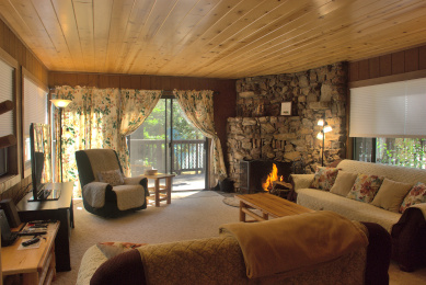 Interior view - living room