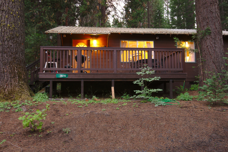 Outside view of the Little Pine cabin and trees