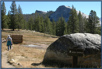 View of Soda Springs trail